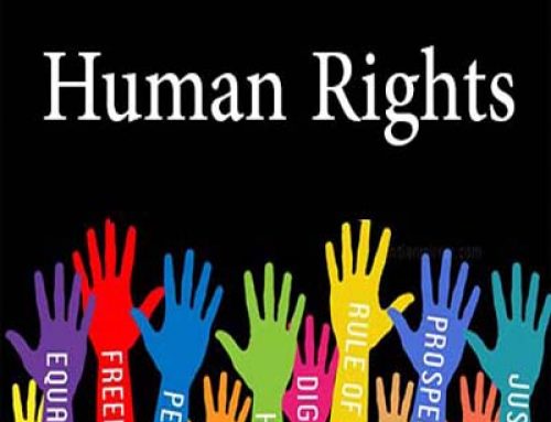 Human Rights Movement in Somalia